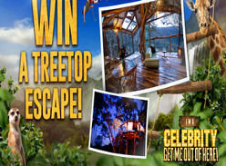 Win a Treetop Escape