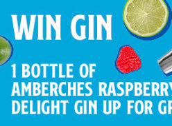 Win 1 bottle of AmberChes Raspberry Delight Gin