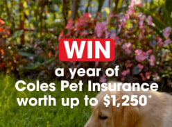Win 1 of 200 Coles Pet Insurance Policies