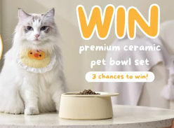 Win 1 of 3 Ceramic Raised Cat & Dog Bowl Set