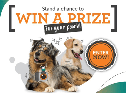 Win 1 of 3 Pet Prize Hampers