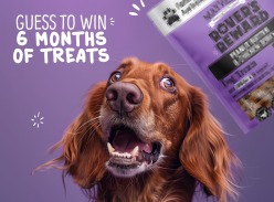 Win 6 Months Worths of Treats for Your Dog