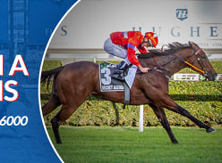 Win a 2.5% Share in a Magic Millions Race Horse