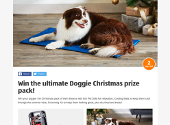 Win a Doggie Xmas Pack