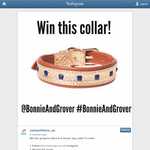 Win a gorgeous Bonnie & Grover dog collar!