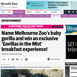 Win a 'Gorillas in the Mist' breakfast experience!