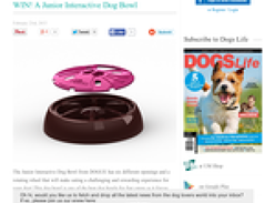 Win a junior interactive dog bowl!
