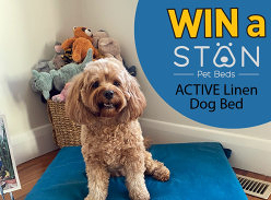 Win a STAN Pet Bed - Active Dog Bed
