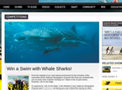 Win a swim with Whale Sharks!