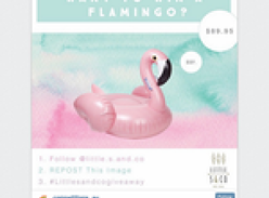 Win an inflatable Sunnylife Flamingo valued at $89.95!