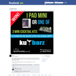 Win an iPad Mini or 1 of 3 Mini Cocktail kits!