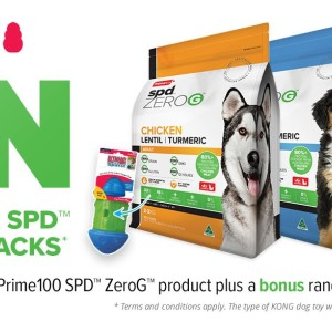Win 1 of 6 Prime100 and KONG prize packs