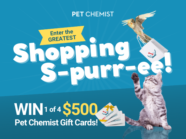 Win a $500 Gift Card Giveaway
