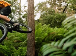 Win a $2,000 Bicycle Gear Voucher