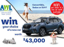 Win a Car of Your Choice