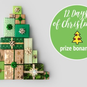Win the 12 days of Christmas prize pack!
