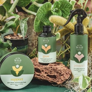 Win 1 of 3 We the Wild Plant Lovers’ Essential kit and eco bag