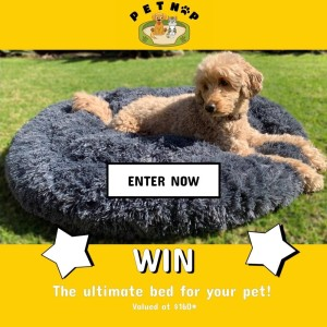 Win 1 of 3 Pet Relaxation Beds