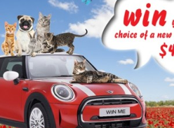 Win a car of your choice