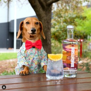 Win 1 of 3 Bottles of Brightside Distilling Triple Botanical Spirit