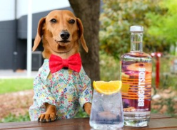 Win 1 of 3 Bottles of Brightside Distilling Triple Botanical Spirit