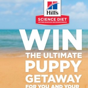 Win the ultimate Puppy Getaway for you & your Furry friend!