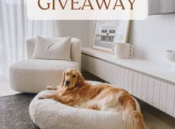 Win a James Lane Boucle Armchair of your choice + a SASH Luxury Boucle Dog Bed