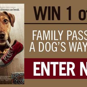Win one of ten FPs to see A Dog’s Way Home