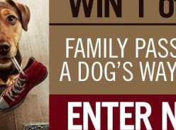 Win one of ten FPs to see A Dog’s Way Home