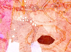 Win an artwork