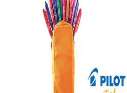 Win a set of Pilot FriXion Ball Pens and Pencil Case