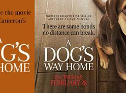 Win one of twenty-five DPs to A Dog’s Way Home