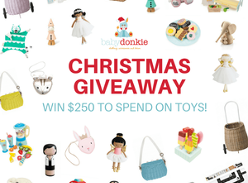 Win $250 to spend on toys