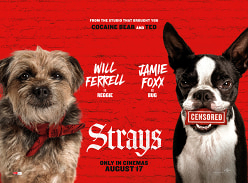 Win 1 of 10 Double Passes to Brisbane Premiere Screening of Strays