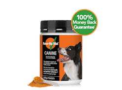 Win 1 of 10 Rose-Hip Vital Canine 500g Tubs