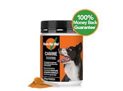 Win 1 of 10 Rose-Hip Vital Canine 500g Tubs