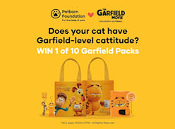 Win 1 of 10 the Garfield Movie Prize Packs