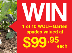 Win 1 of 10 WOLF-Garten Garden Spades