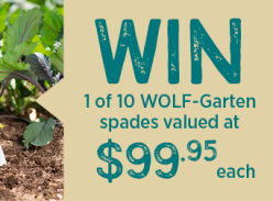 Win 1 of 10 WOLF-Garten Spades