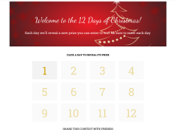 Win 1 of 12 Days of Christmas Prizes