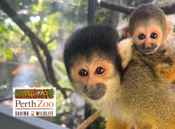 Win 1 of 13 Family Passes to Perth Zoo