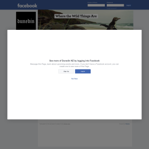 Win 1 of 2 amazing WILD holidays to Dunedin, New Zealand! (Flights from Brisbane) - Dunedin NZ