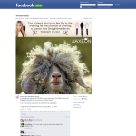 Win 1 of 2 Axeon Hair Straightener Brushes! - Jaxeon Hair Straightener Brush