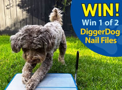 Win 1 of 2 Diggerdog Nail Files
