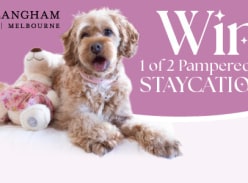 Win 1 of 2 Pet-Friendly Staycations at the Langham Hotel