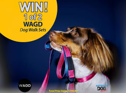 Win 1 of 2 Walk Bundles