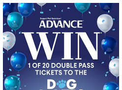 Win 1 of 20 Double Pass Tickets to Dog Lovers Festival