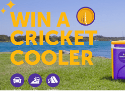 Win 1 of 218 Cricket Coolers