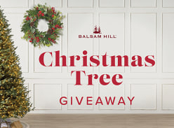 Win 1 of 3 Balsim Hill Christmas Trees