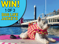 Win 1 of 3 Lila Co. Dog Life Jackets